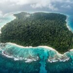 Isla Sentinel del Norte vista desde el aire con su densa selva y arrecifes.